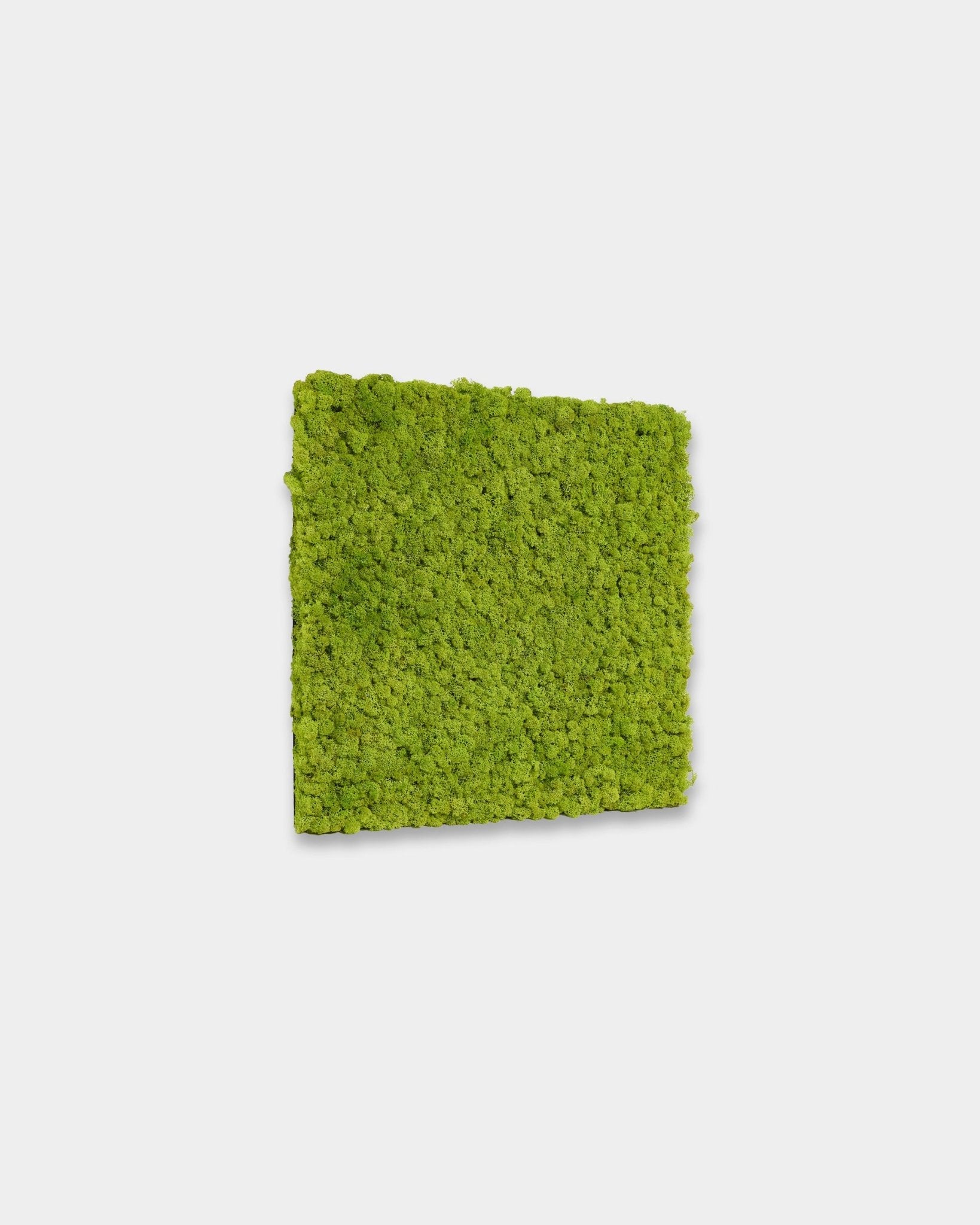 WoodUpp Akupixel Akustikkpanel i Apple Green, størrelse 60 x 60 cm, har livlige grønne spiler mot en ren hvit bakgrunn.
