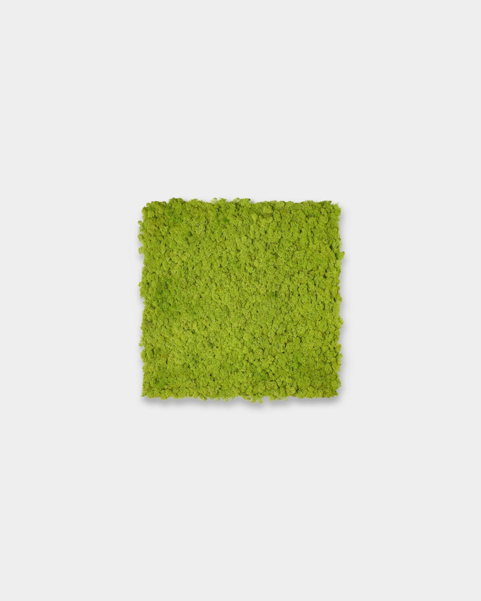 Akupixel Akustikkpanel i Apple Green, 60x60cm, fra WoodUpp vist som en kvadratisk detalj mot en enkel lys grå bakgrunn.