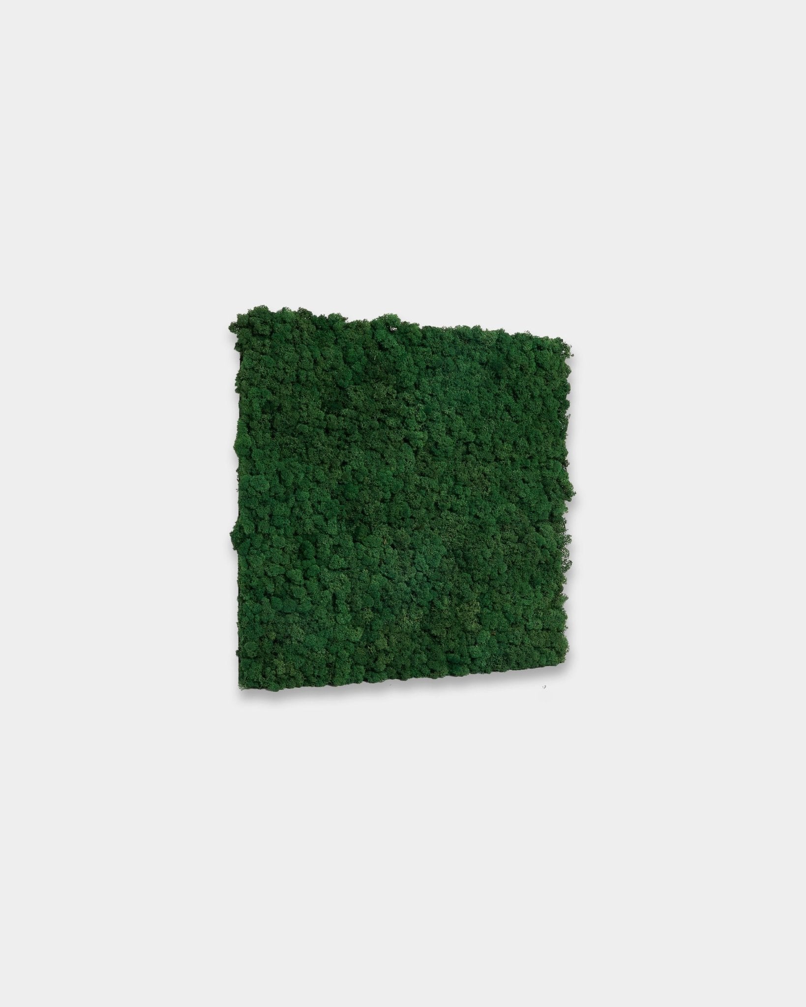 WoodUpp Akupixel Moss Green Akustikkpanel (60 x 60 cm) med en levende moss green farge, vist mot en enkel hvit bakgrunn.