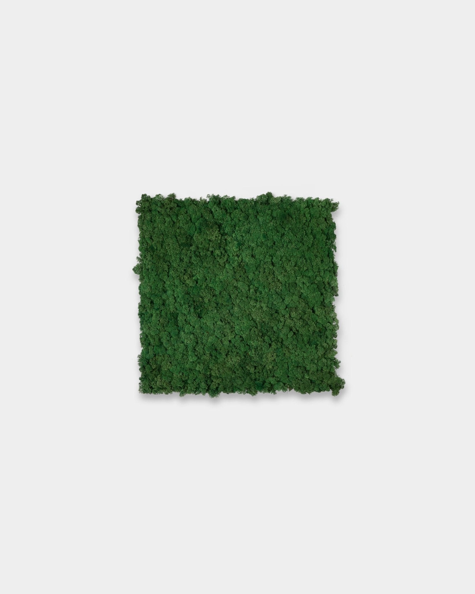 WoodUpp Akupixel Akustikkpanel i Moss Green (60x60 cm), med en teksturert kvadratisk overflate mot en enkel hvit bakgrunn.
