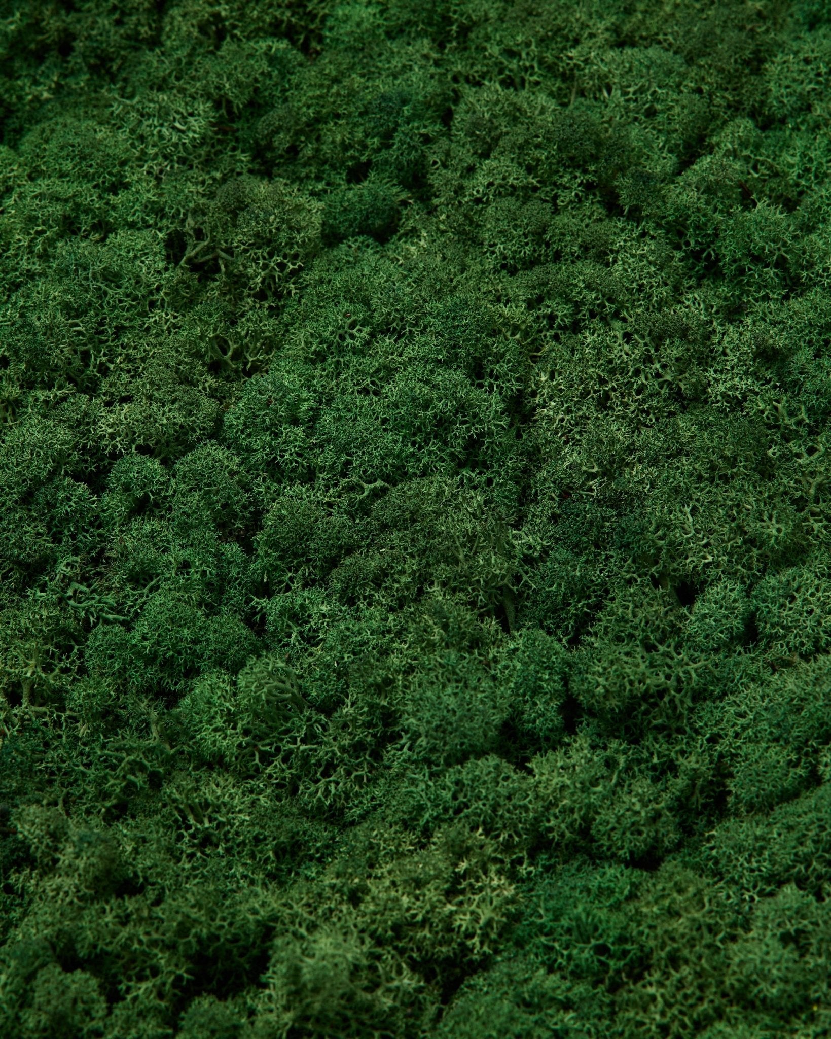 WoodUpp Moss-prøve i Moss Green har en tett, livlig grønn overflate med rik tekstur og naturlige, ujevne mønstre for nordiske akustikkpaneler.
