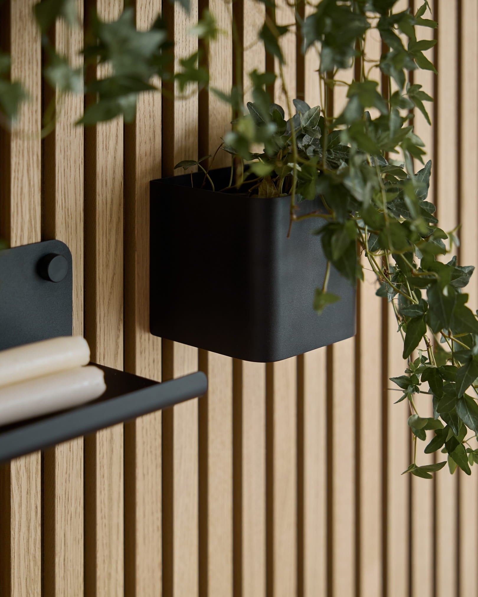 En black 11,9 cm WoodUpp Norr Plant Box med grønn eføy henger på en lys Akupanel tre-Akustikkpanel; deler av en matchende hylle med sammenrullede papirer er synlig.