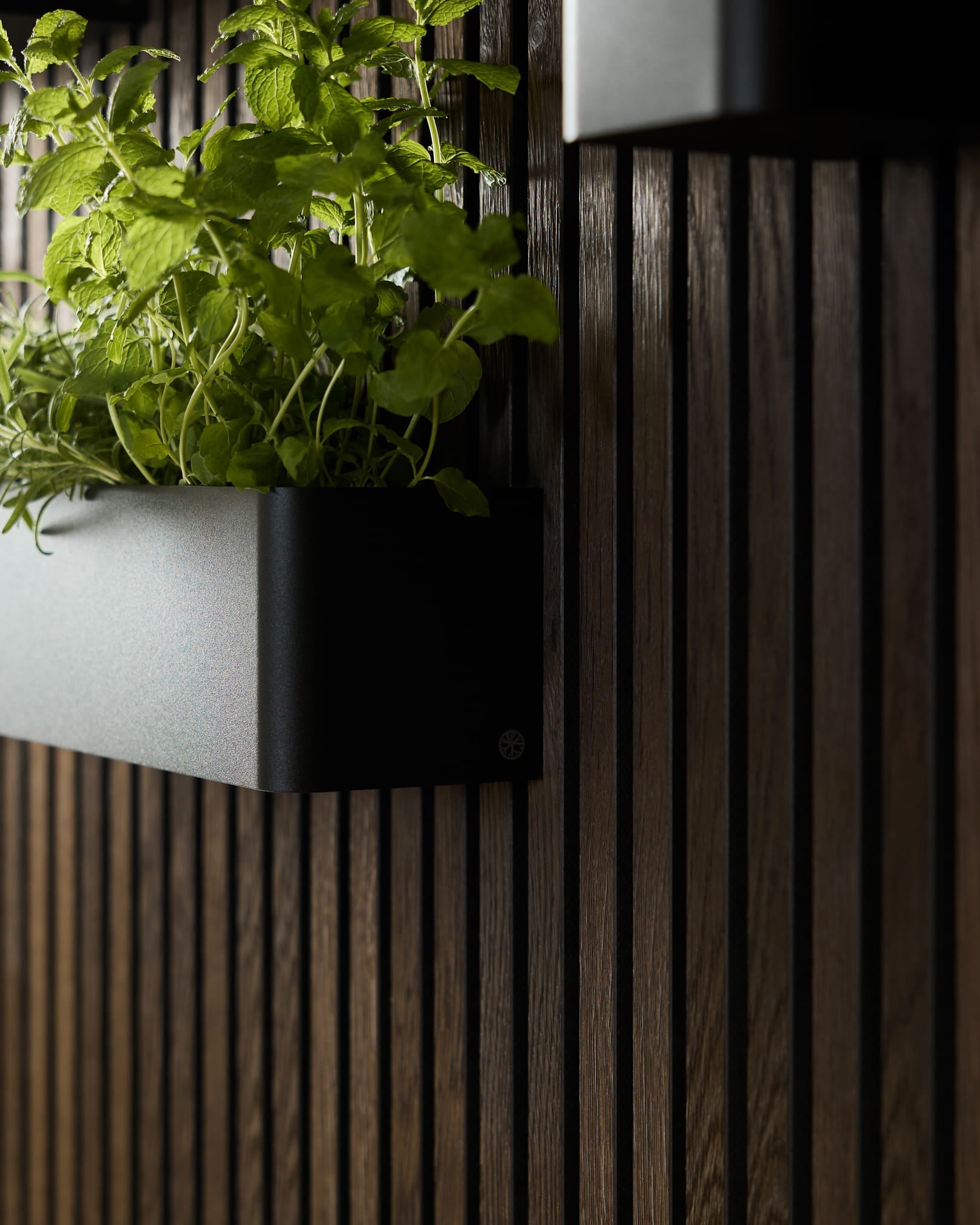 Black WoodUpp Norr Plant Box (47,9 cm) laget av rustfritt steel, utformet for grønne vegger montert på mørke akustiske trespilepaneler.