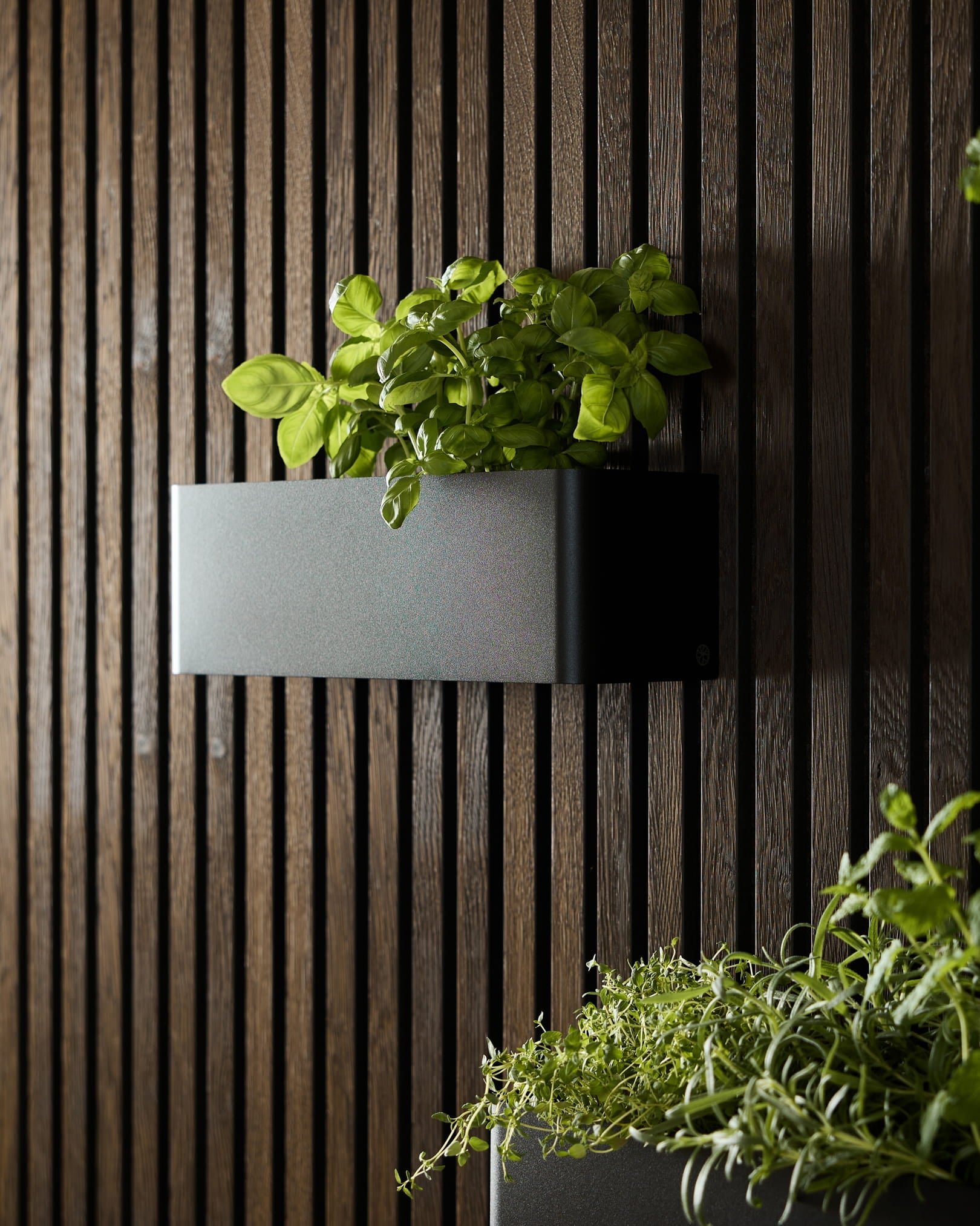 En black WoodUpp Norr Plant Box (35,9 cm) med grønn basilikum plassert på et mørkt akustisk spilepanel, ved siden av en annen plantekasse med bladgrønt.
