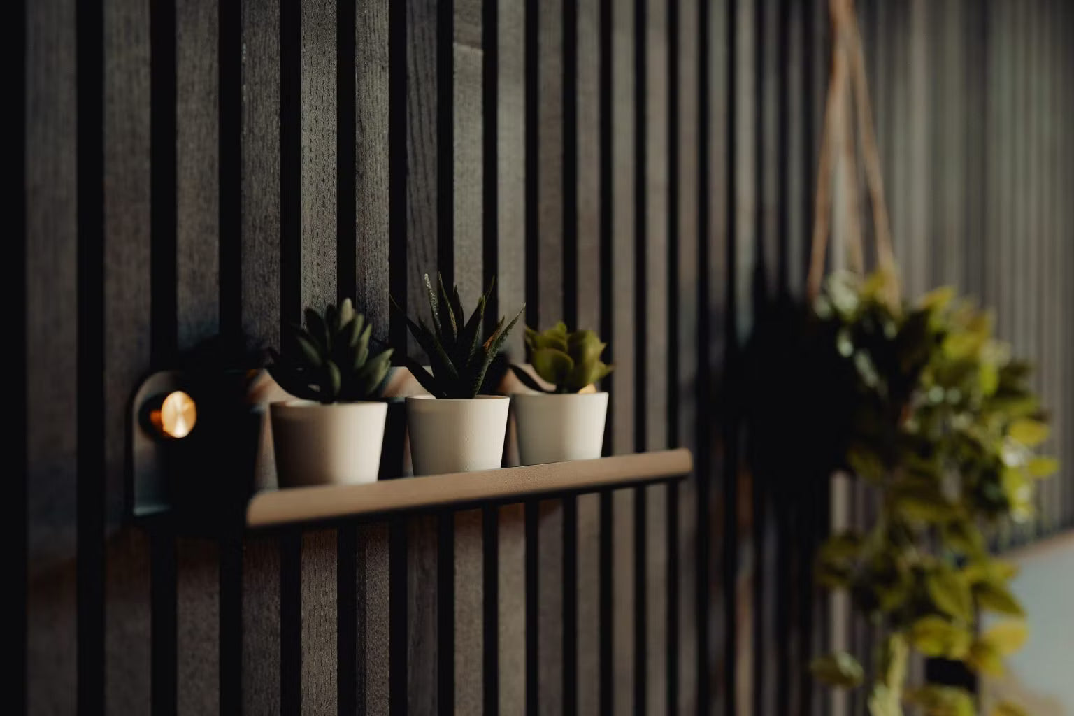 Three small potted succulents on a floating shelf mounted to a dark Nordic-style Akupanel acoustic wood panel wall, with blurred hanging greenery in the background.